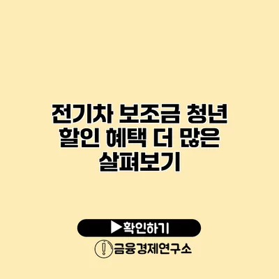 전기차 보조금 청년 할인 혜택 더 많은 살펴보기