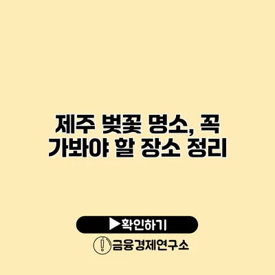제주 벚꽃 명소, 꼭 가봐야 할 장소 정리