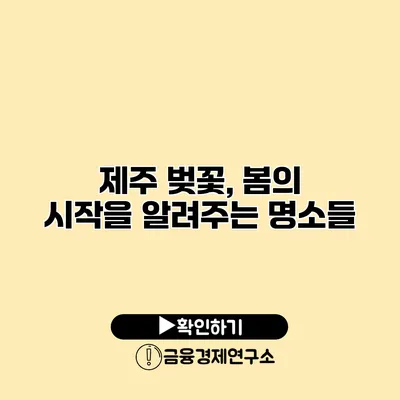 제주 벚꽃, 봄의 시작을 알려주는 명소들