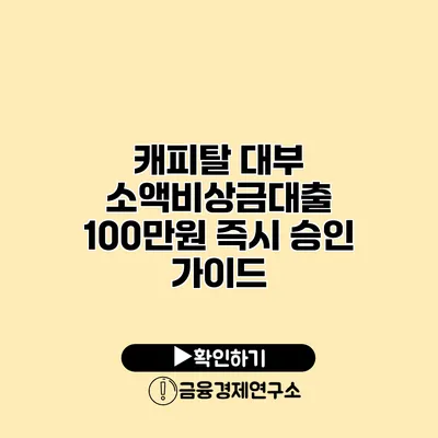 캐피탈 대부 소액비상금대출 100만원 즉시 승인 가이드