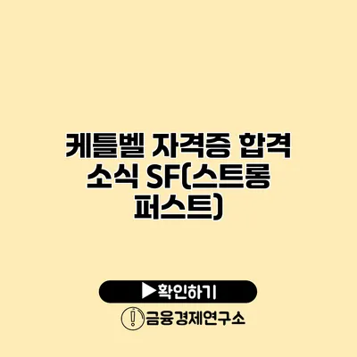 케틀벨 자격증 합격 소식 SF(스트롱 퍼스트)