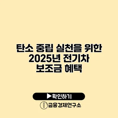 탄소 중립 실천을 위한 2025년 전기차 보조금 혜택