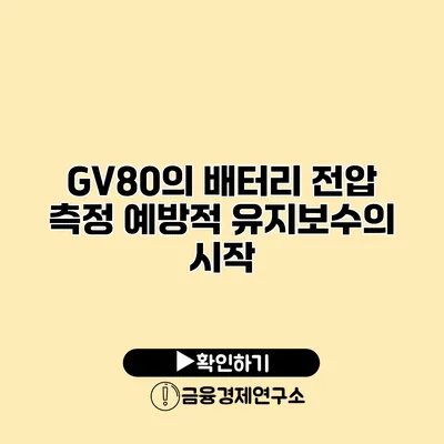 GV80의 배터리 전압 측정 예방적 유지보수의 시작