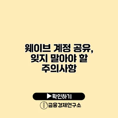 웨이브 계정 공유, 잊지 말아야 할 주의사항