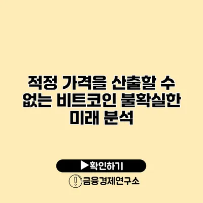 적정 가격을 산출할 수 없는 비트코인 불확실한 미래 분석